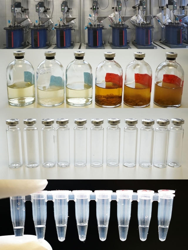 Microbiology of Anaerobic Systems